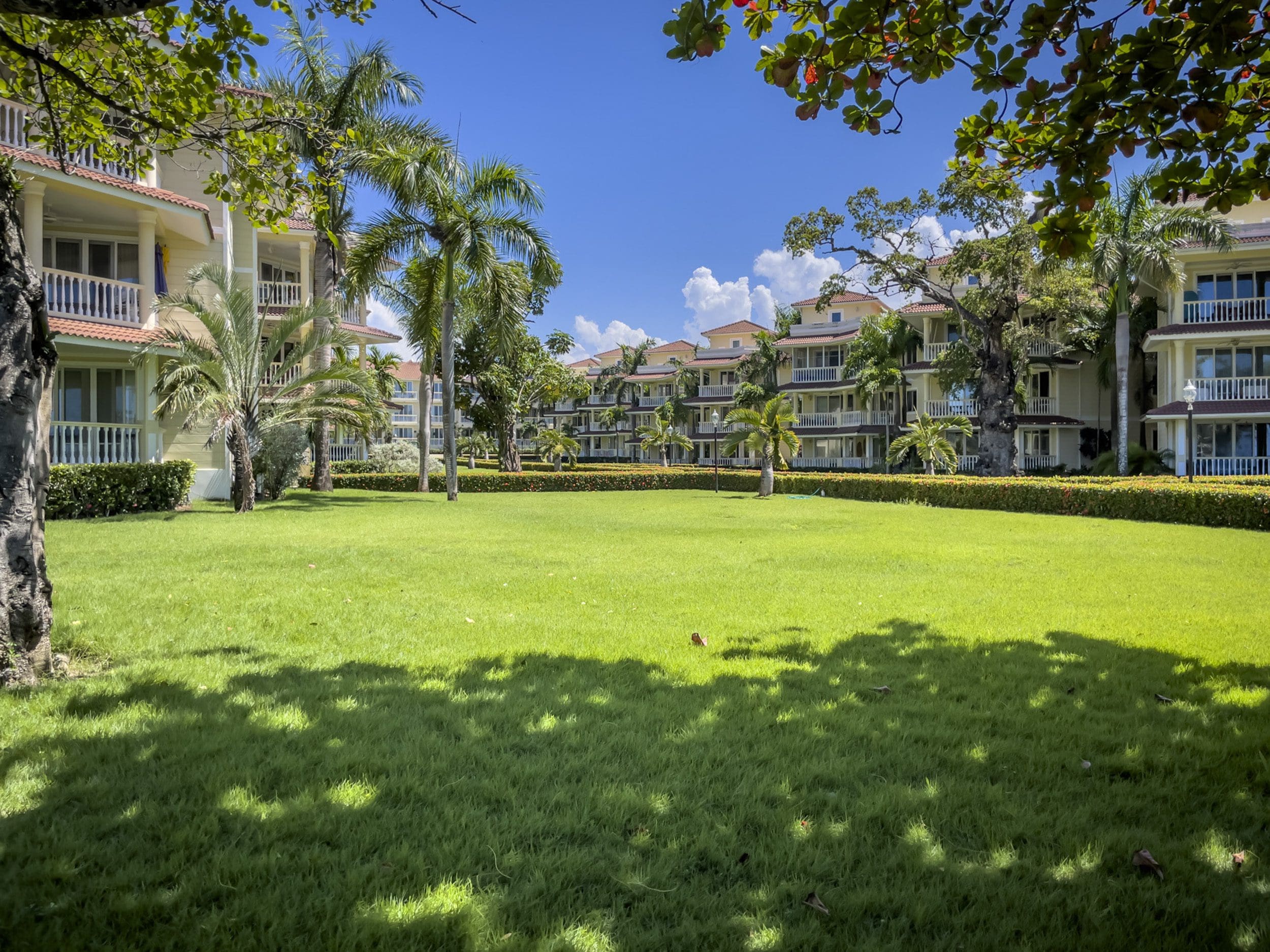 buyDRproperty Lush green lawn and 3 bedroom oceanfront condos in Sosua with palm trees and blue sky. Sosua Real Estate
